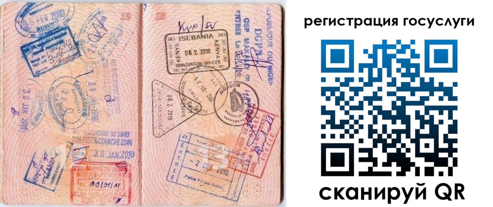 где прописаться в Димитровграде