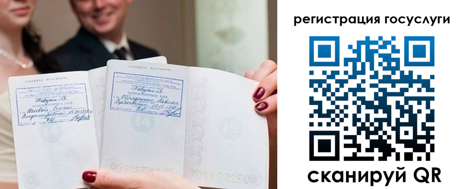 прописка гарантия в Димитровграде